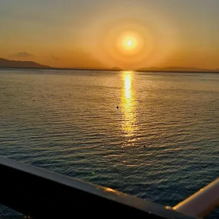 The Nest 아이 테오도리