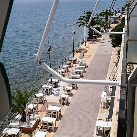 The Nest איוי תיאודורי