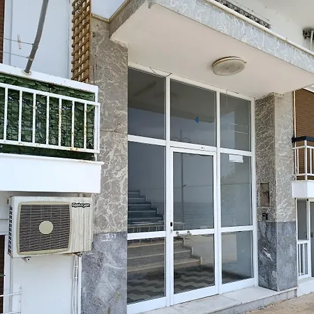 The Nest * איוי תיאודורי
