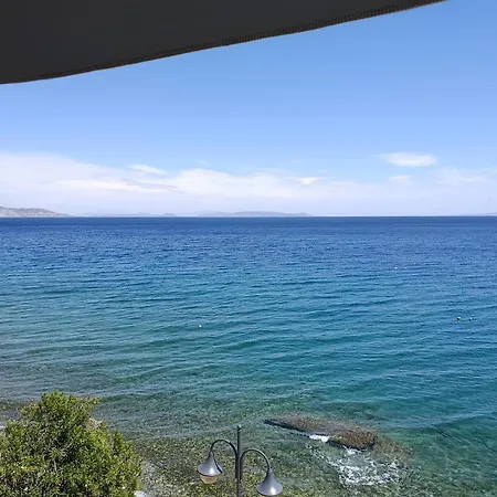 The Nest شقة أغيوي ثيودوروي