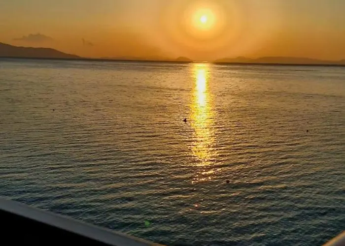 The Nest أغيوي ثيودوروي